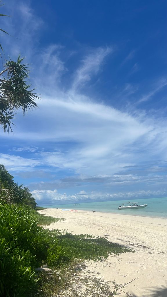 Beach - White sand, clear water and shoreline